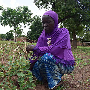 Woman wearing a blue headscarf and patterned skirt holds a metal bowl at a round mud house with a thatched roof where a man in a blue shirt and red scarf passes branches through the window
