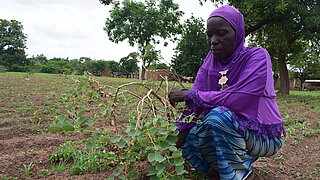 Woman wearing a blue headscarf and patterned skirt holds a metal bowl at a round mud house with a thatched roof where a man in a blue shirt and red scarf passes branches through the window
