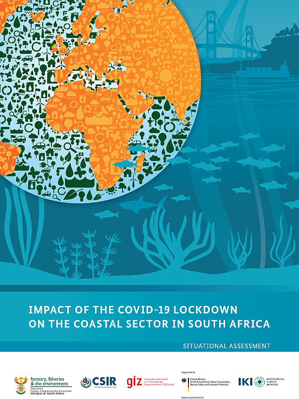 Impact of the COVID-19 lockdown on the coastal sector in South Africa ...