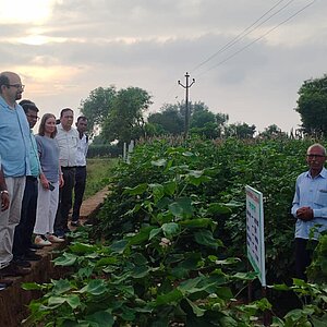 Sechs Beteilgte des Projektes RECAP4NDC stehen am Rande eines Feldes in Alwar, Rajasthan, und lassen sich von Landwirten die Landnutzung beschreiben.