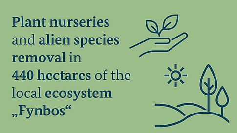 An infographic showing a hand holding a plant, a sun, and trees. The text reads: 'Plant nurseries and alien species removal in 440 hectares of the local ecosystem 'Fynbos'.