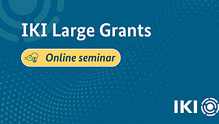 Blue background with a light blue dot pattern. The text "IKI Large Grants" can be seen in large letters. There is also a yellow banner underneath with the words "Online seminar" and a corresponding icon.