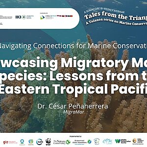 Video Thumbnail "Showcasing Migratory Marine Species: Lessons from the Eastern Tropical Pacific"