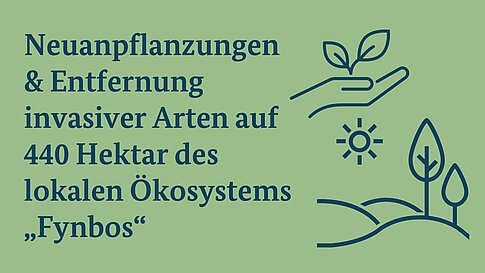 Eine Infografik, die eine Hand, die eine Pflanze hält, eine Sonne und Bäume zeigt. Der Text lautet: 'Neuanpflanzungen & Entfernung invasiver Arten auf 440 Hektar des lokalen Ökosystems 'Fynbos'.