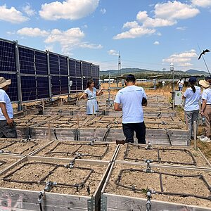 Gruppe von Menschen steht auf einem Feld mit rechteckigen, mit Erde gefüllten Beeten und Solarpaneelen im Hintergrund