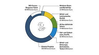 Grafik IKI Fördervolumen 2020 nach Regionen