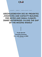 Cover "Zusammenfassung der Abschlussreview “Financing and capacity building for micro and small Climate-smart Enterprises: Filling the gap of the missing middle”"