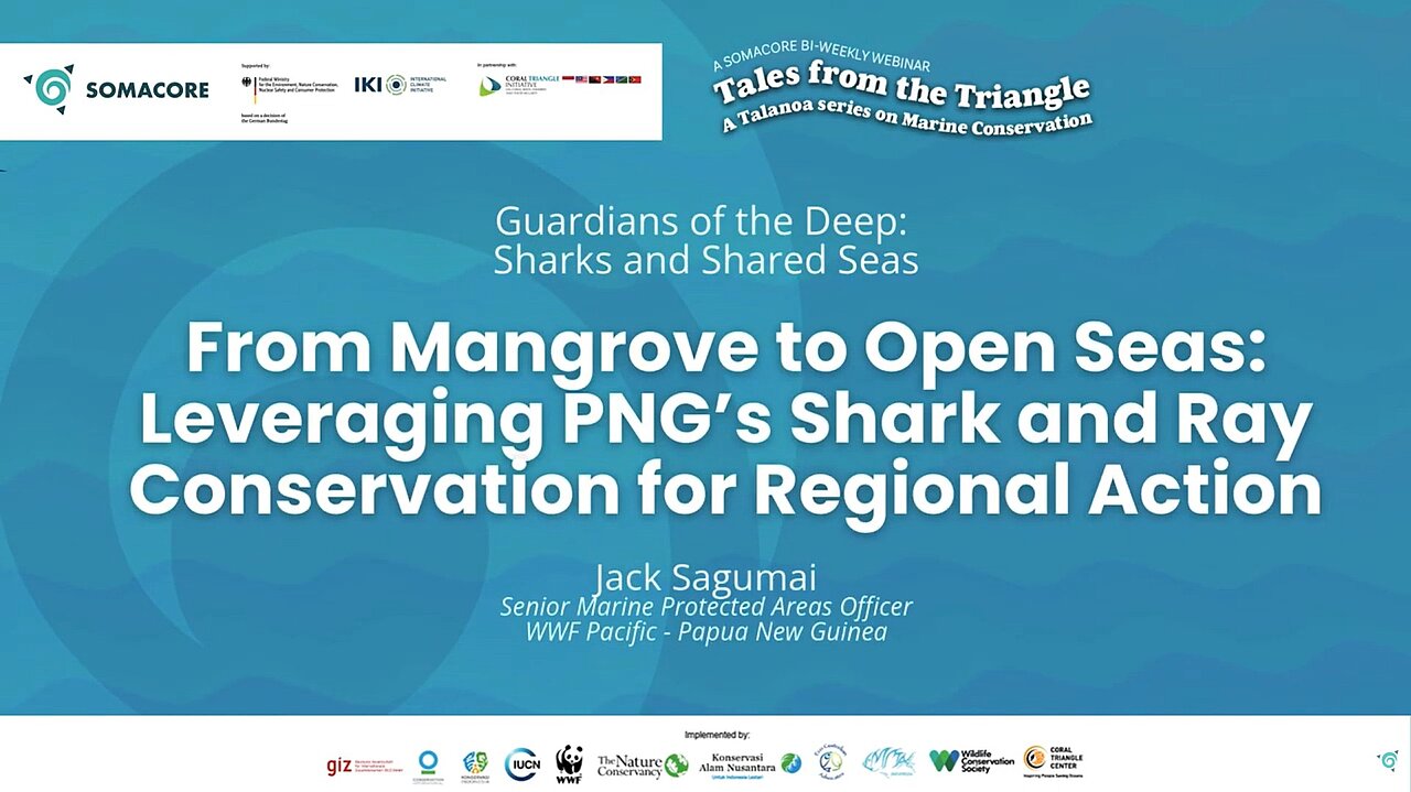 From Mangroves to Open Seas: Leveraging PNG’s Shark and Ray ...