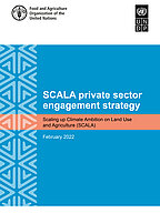Cover SCALA Private Sector Strategy