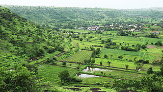 Felder in Indien