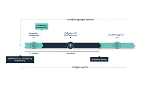 Prozessgrafik der Antragsphase der IKI Medium Grants. Alle Informationen werden im Text unter der Grafik erläutert.