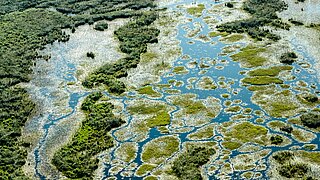 Aerial view of water amidst swampy land in Namibia.