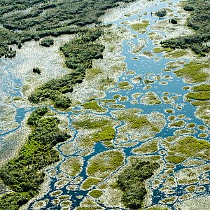 Aerial view of water amidst swampy land in Namibia.