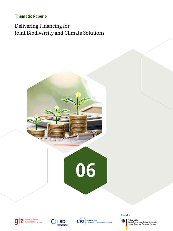 Timatic Paper Thematic Paper 6: Delivering Financing for Joint Biodiversity and ...