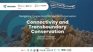 Video Thumbnail "Connectivity and Transboundary Conservation"