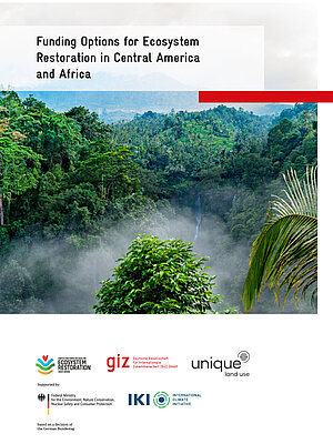 Cover Funding Options for Ecosystem Restoration in Central America and Africat