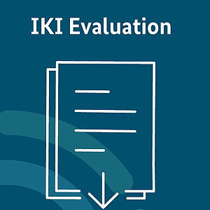 Coverbild der IKI-Evaluationsberichtet