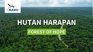 Video Thumbnail "Hutan Harapan - Forest of Hope"