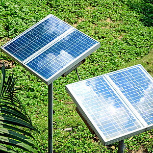 Solar modules in forest