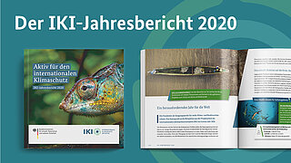 Cover IKI-Jahresbericht 2020