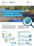 Cover Factsheet BlueCarbon SouthAfrica