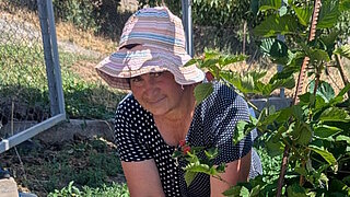 Woman wearing a striped sun hat and polka-dot top working in a garden with plants and berries in Armenia