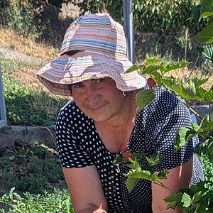 Frau mit gestreiftem Sonnenhut und gepunktetem Oberteil arbeitet in einem Garten mit Pflanzen und Beeren in Armenien