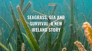 Thumb "Living with the Sea: New Ireland's Seagrass Frontier"