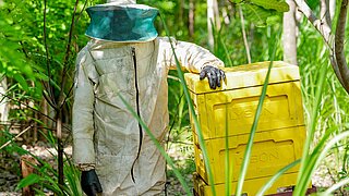 Ein nigerianischer Imker posiert neben einem Bienenstock in einem bewaldeten Gebiet.