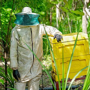 Ein nigerianischer Imker posiert neben einem Bienenstock in einem bewaldeten Gebiet.