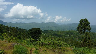 Landschaft im Mount Elgon National Park in Uganda.