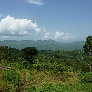 Landschaft im Mount-Elgon-Nationalpark in Ugandat