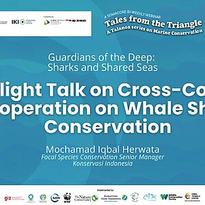 Video Thumbnail "Cross-Country Cooperation on Whale Shark Conservation"