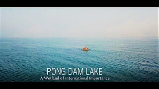 Video Thumbnail: Pong Dam Lake, A Wetland of International Importance