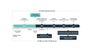 Prozessgrafik für das zur Auswahl von Projekten für Förderung oder Beauftragung durch die IKI.