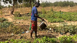 Person watering plants with a watering can in a garden with trees in the background