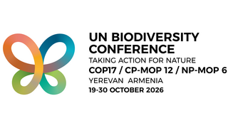 Colorful stylized butterfly logo next to text with event title and date of the UN Biodiversity Conference in Yerevan, Armenia, October 2026