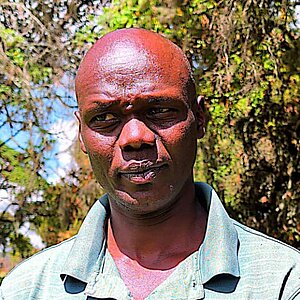 Man with short hair wearing a green striped polo shirt standing outdoors in front of trees and a fence