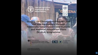Thumb "How women farmers are leading climate action"