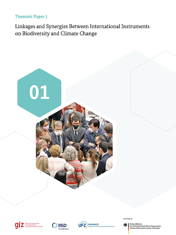 Timatic Paper Thematic Paper 1: Linkages and Synergies Between International ...