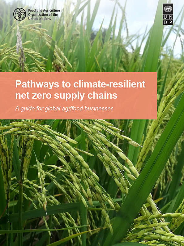 Pathways to climate-resilient net zero supply chains | Internationale ...