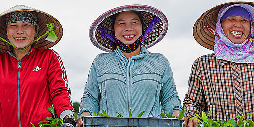 A group of women standing with baskets of plants, smiling while participating in a restoring project in Viet Nam.