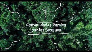 Thumb "Comunidades Rurales por los Bosques: Impacto de BES‑Net y Climate Promise en Colombia"