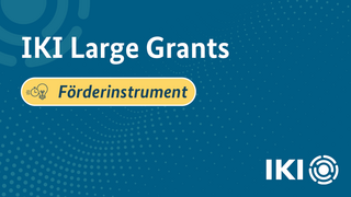 Blauer Hintergrund mit einem hellblauen Punktemuster. In großer Schrift ist der Text „IKI Large Grants“ zu sehen. 