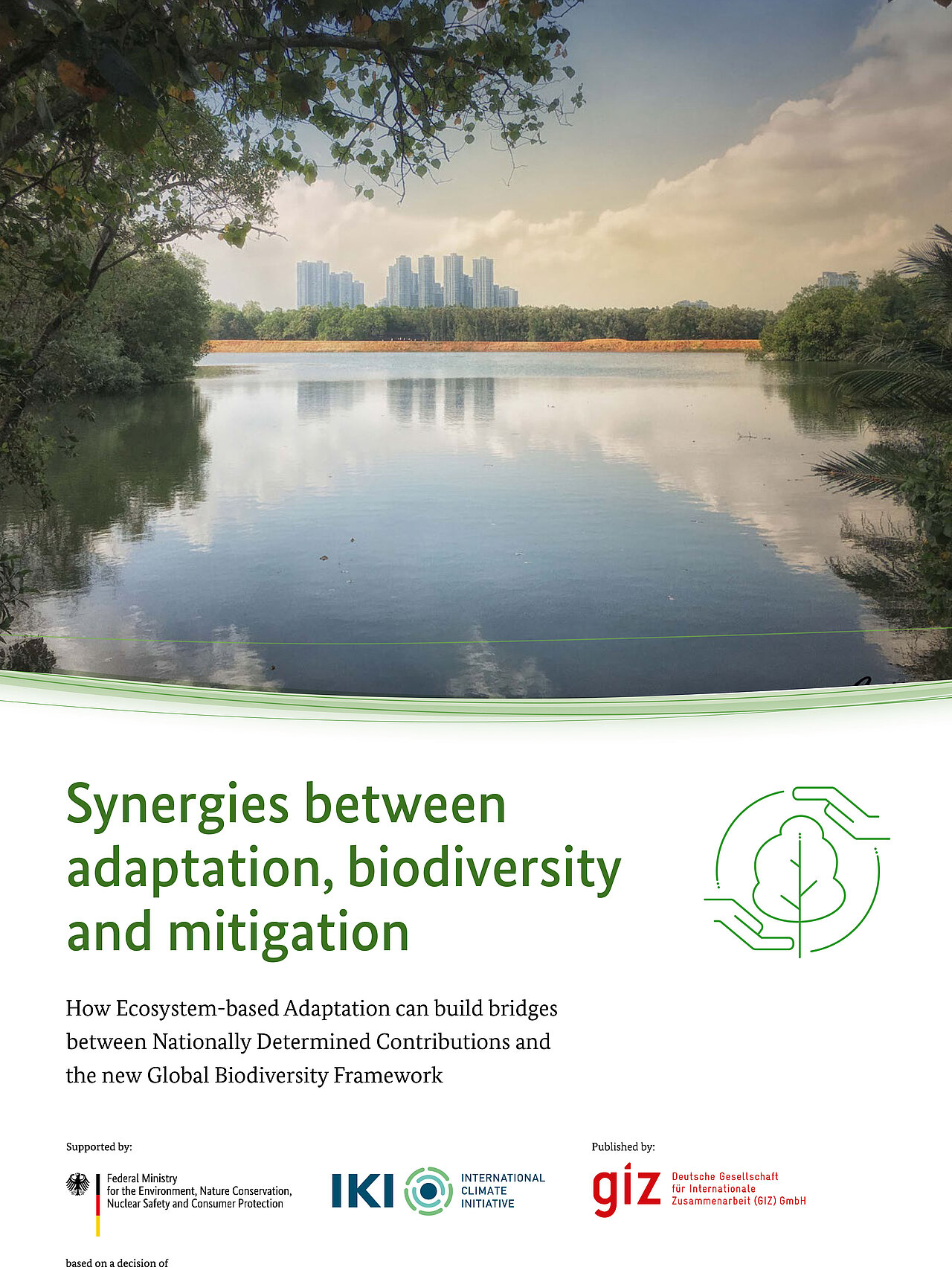 Synergies between adaptation, biodiversity, and mitigation ...