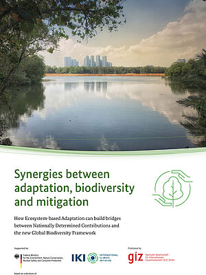 Cover Synergies between adaptation, biodiversity, and mitigation: How Ecosystem-based Adaptation can build bridges between Nationally Determined Contributions and the new Global Biodiversity Frameworkt