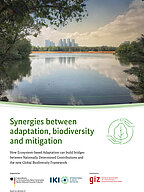 Cover Synergies between adaptation, biodiversity, and mitigation: How Ecosystem-based Adaptation can build bridges between Nationally Determined Contributions and the new Global Biodiversity Framework
