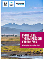 Cover der Publikation mit dem Titel "Protecting the overlooked Carbon Sink"