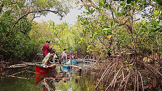 Several people sit in small boats on a calm river surrounded by dense mangrove forest