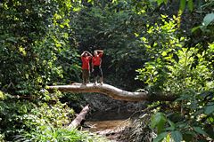 Two men standing on a tree trunk that lies above a forest river